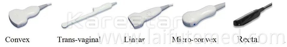 Veterinary Digital Ultrasonic Diagnostic Imaging System Portable Laptop B/W Handheld Ultrasound